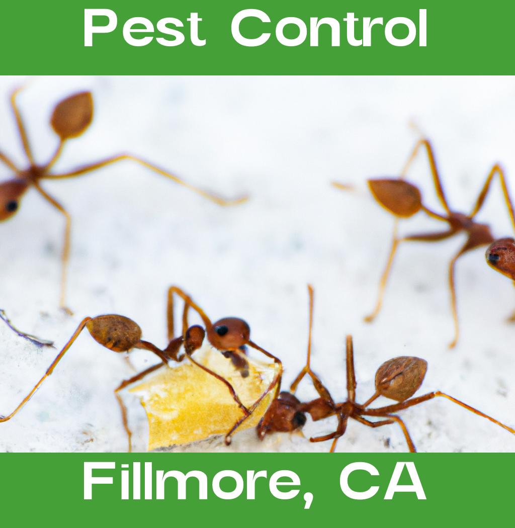 pest control in Fillmore California