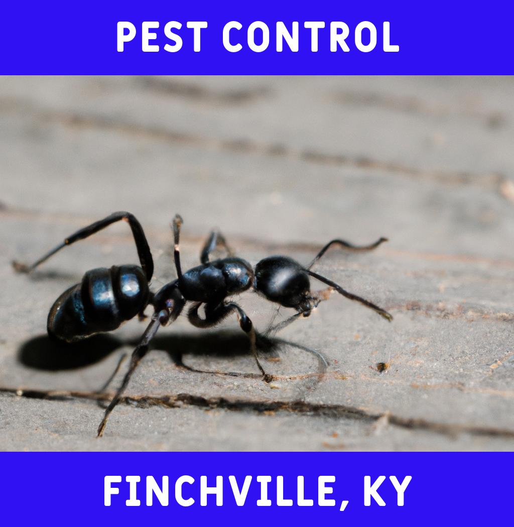 pest control in Finchville Kentucky