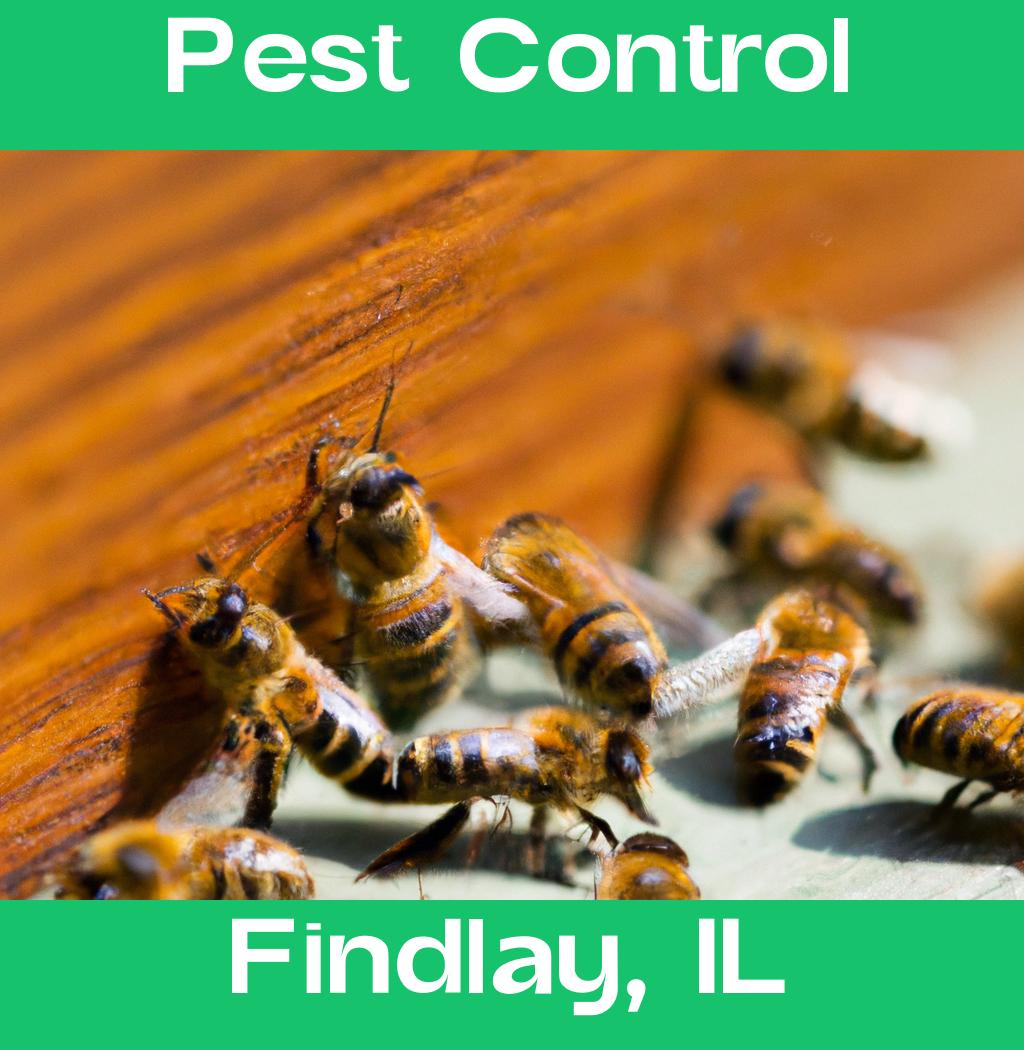 pest control in Findlay Illinois