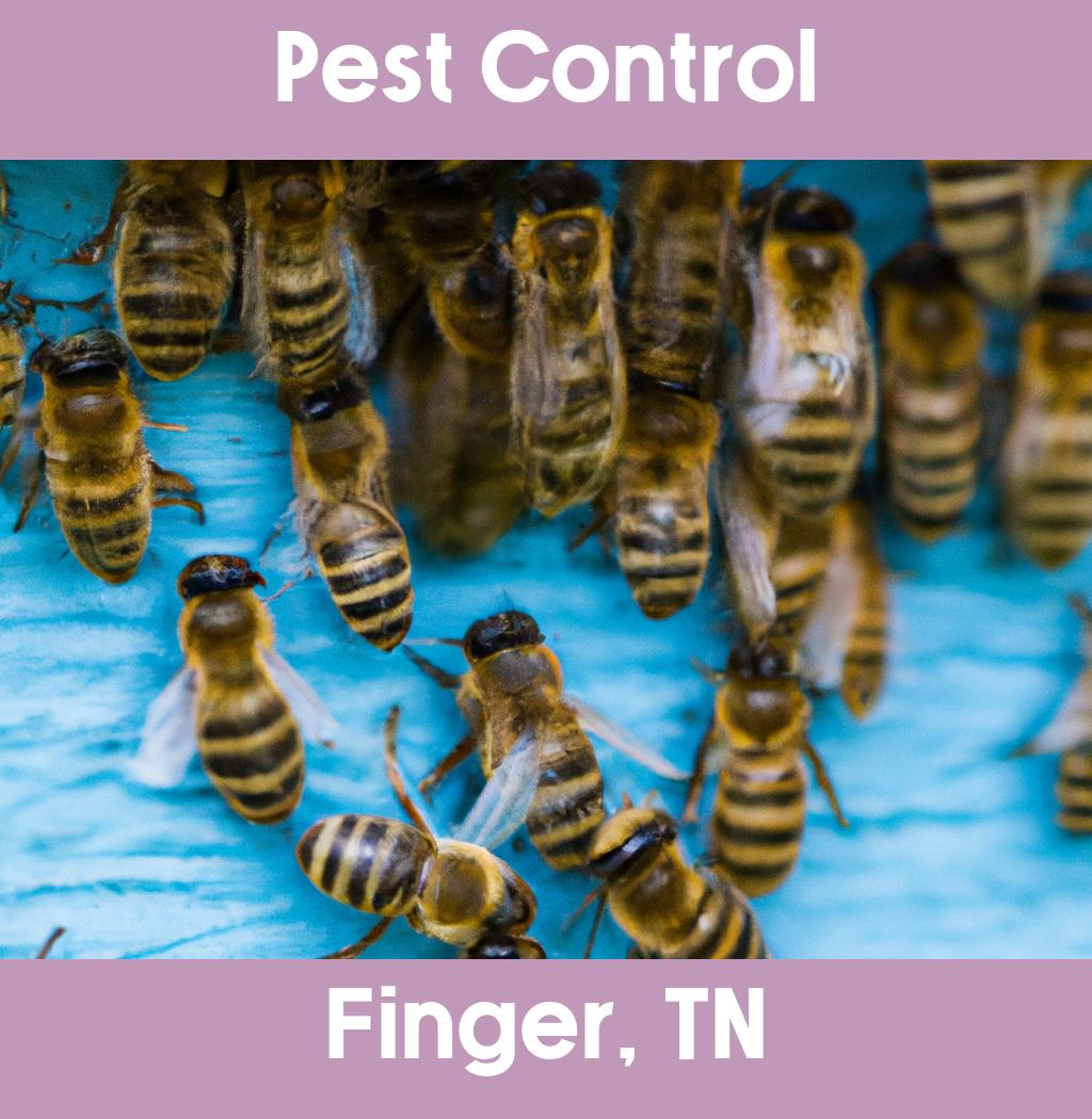 pest control in Finger Tennessee