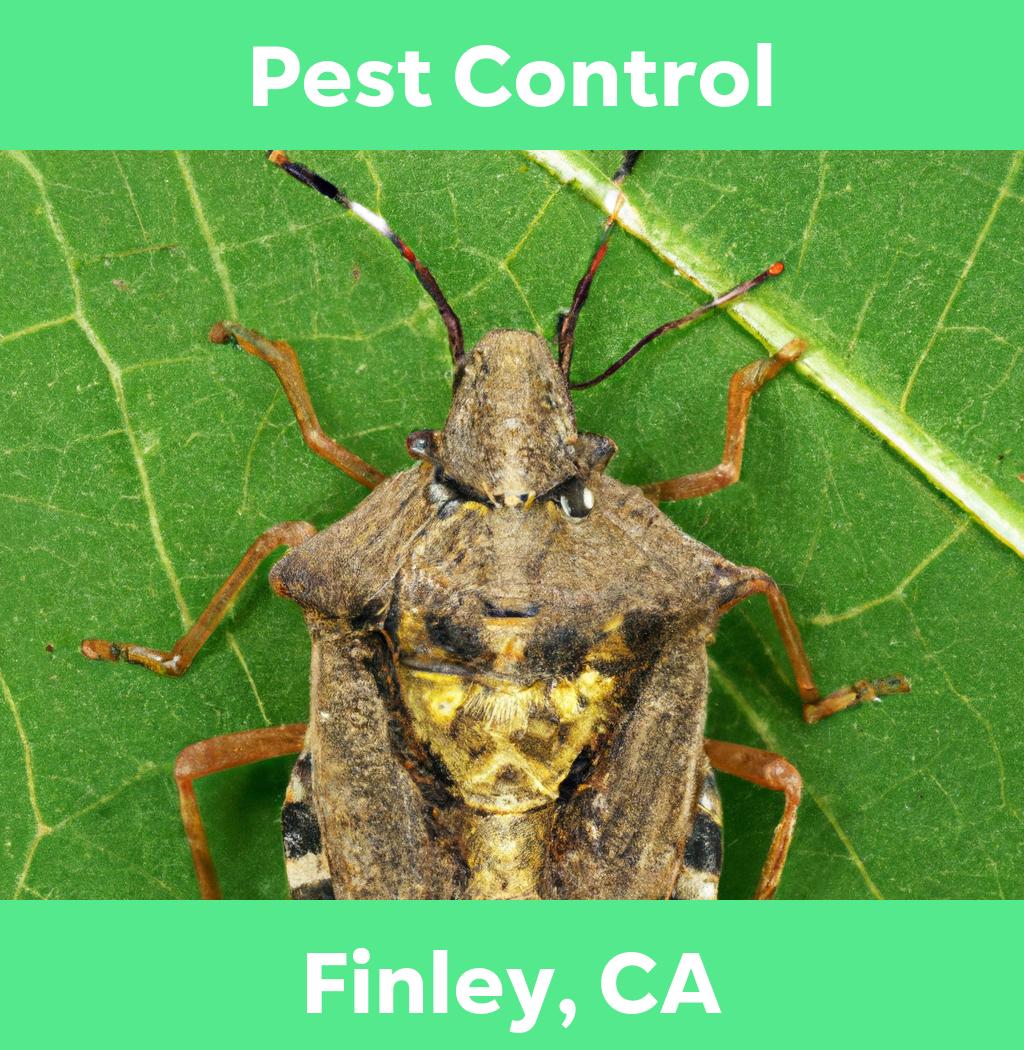 pest control in Finley California