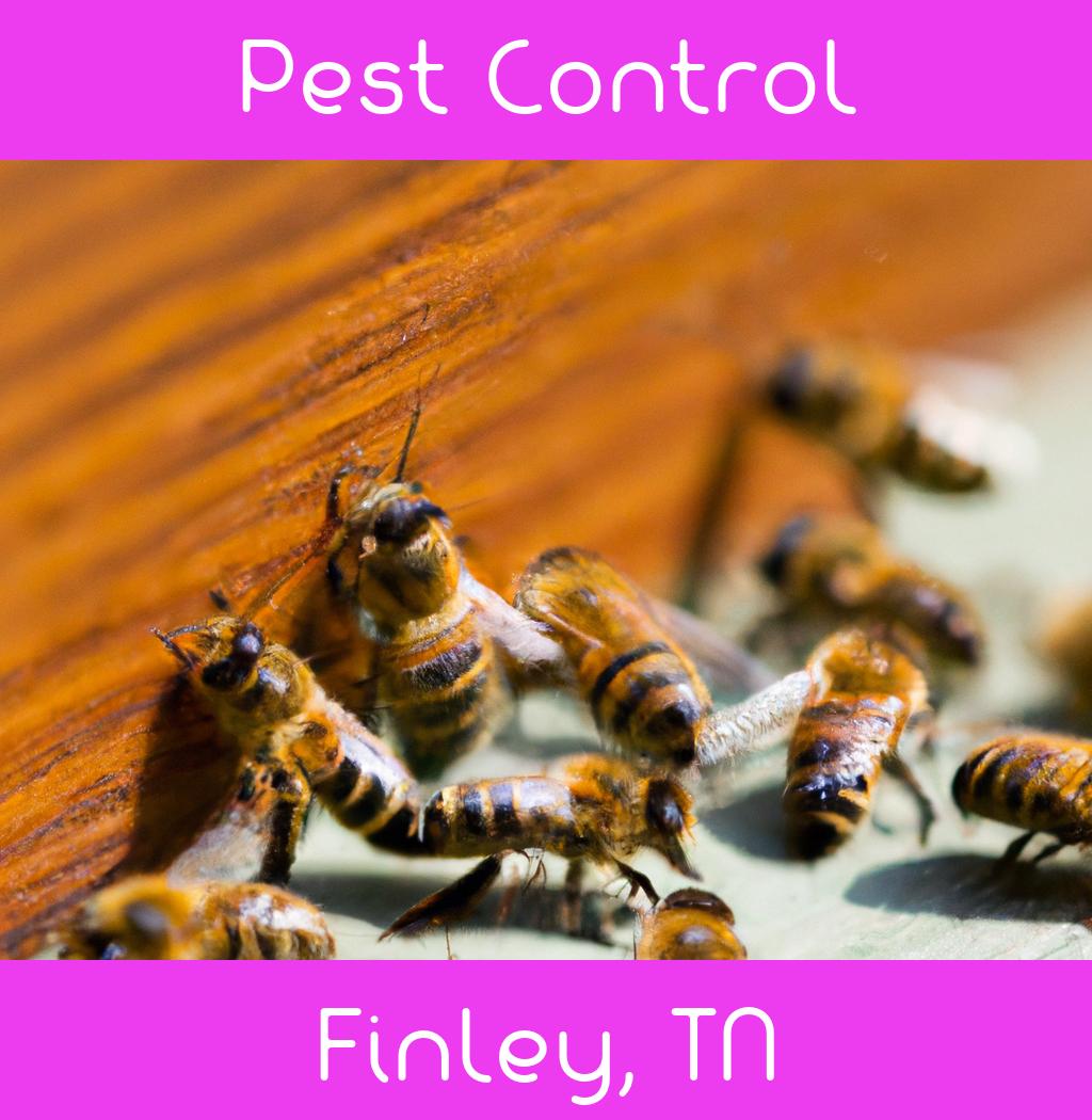 pest control in Finley Tennessee