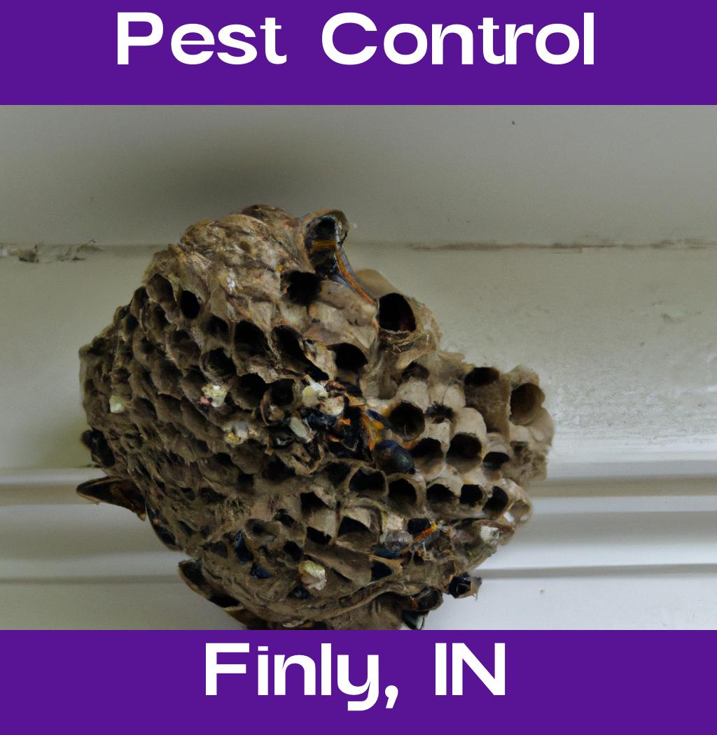 pest control in Finly Indiana