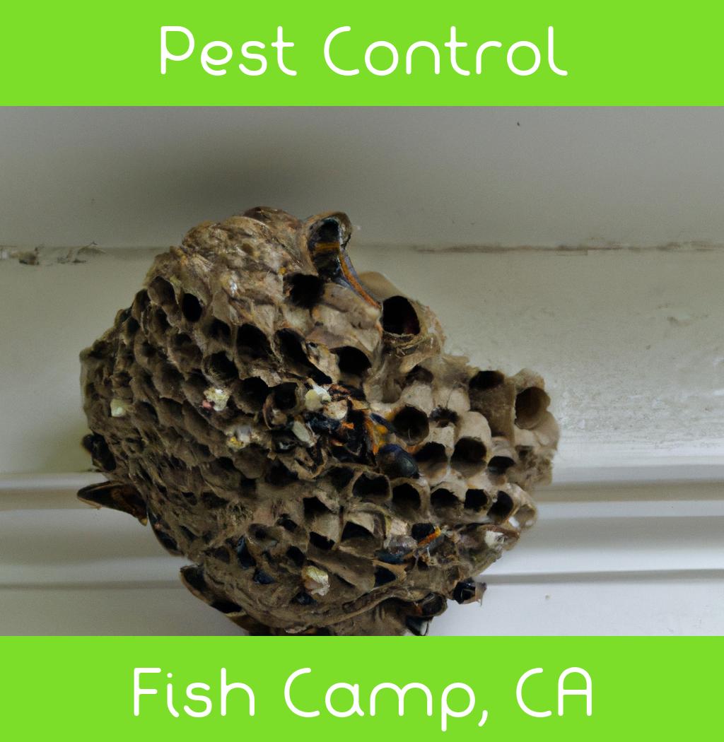 pest control in Fish Camp California