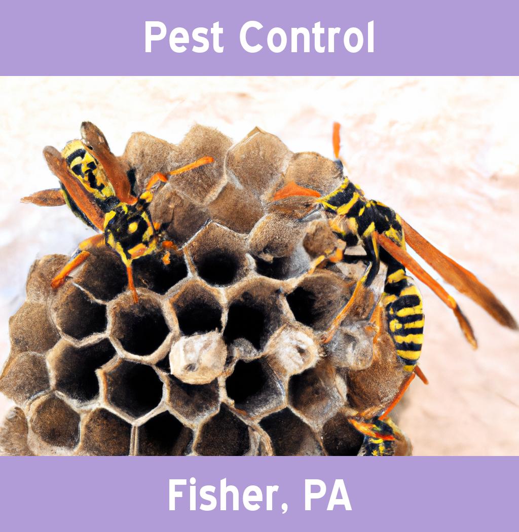 pest control in Fisher Pennsylvania