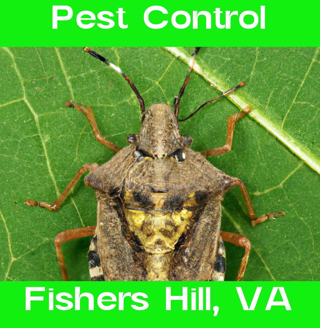 pest control in Fishers Hill Virginia