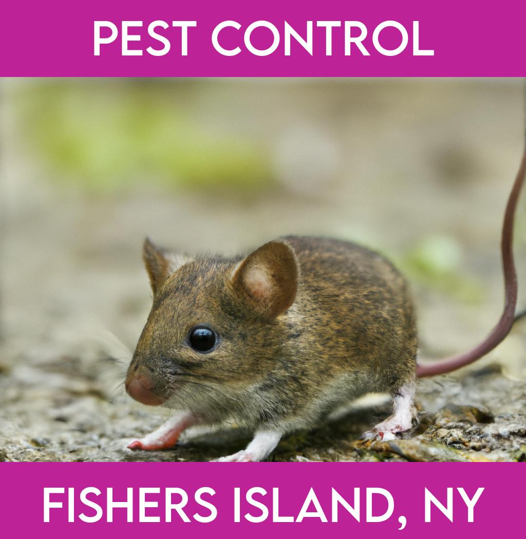 pest control in Fishers Island New York