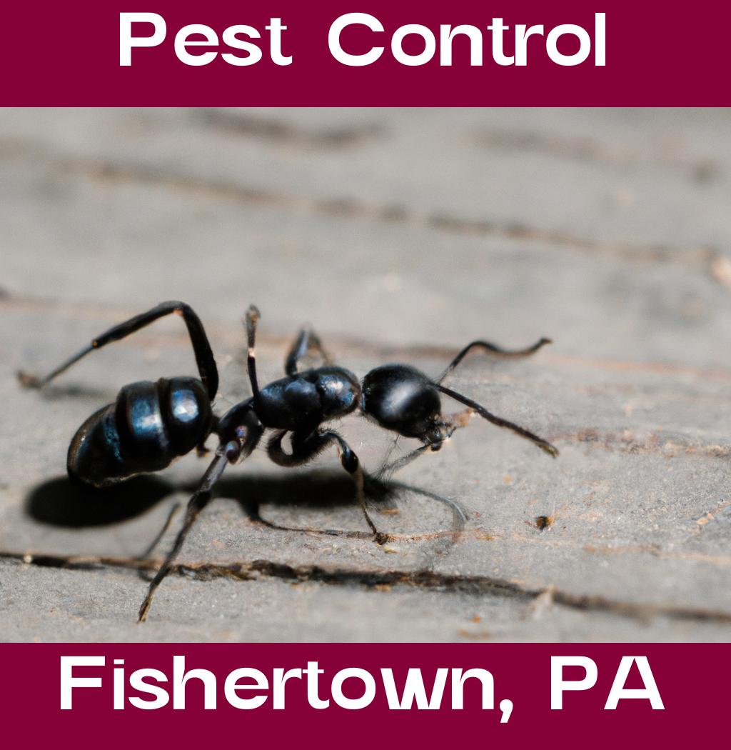 pest control in Fishertown Pennsylvania