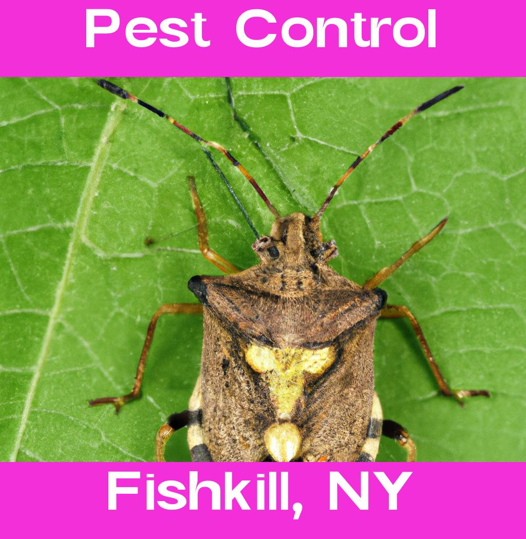 pest control in Fishkill New York