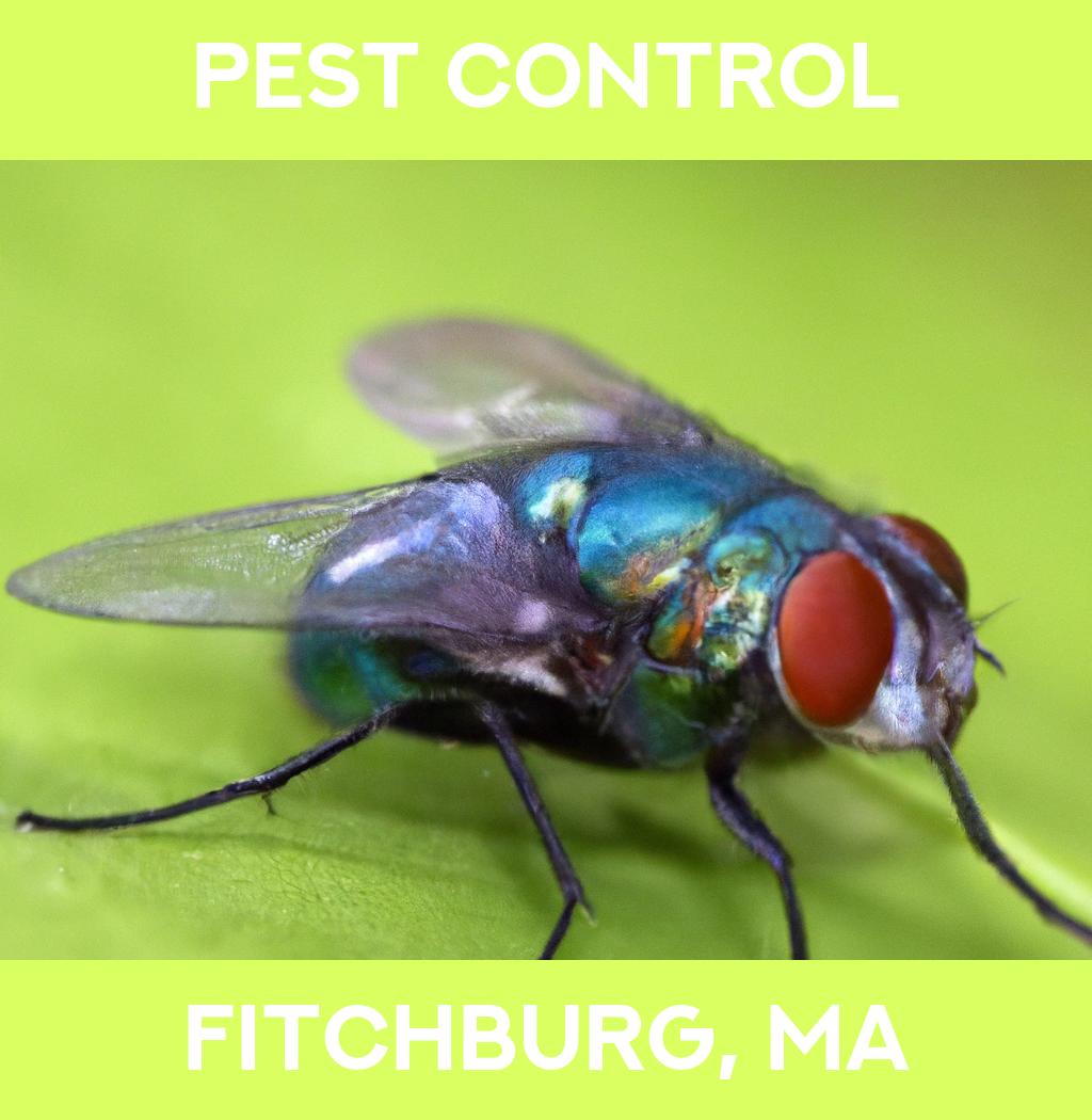 pest control in Fitchburg Massachusetts