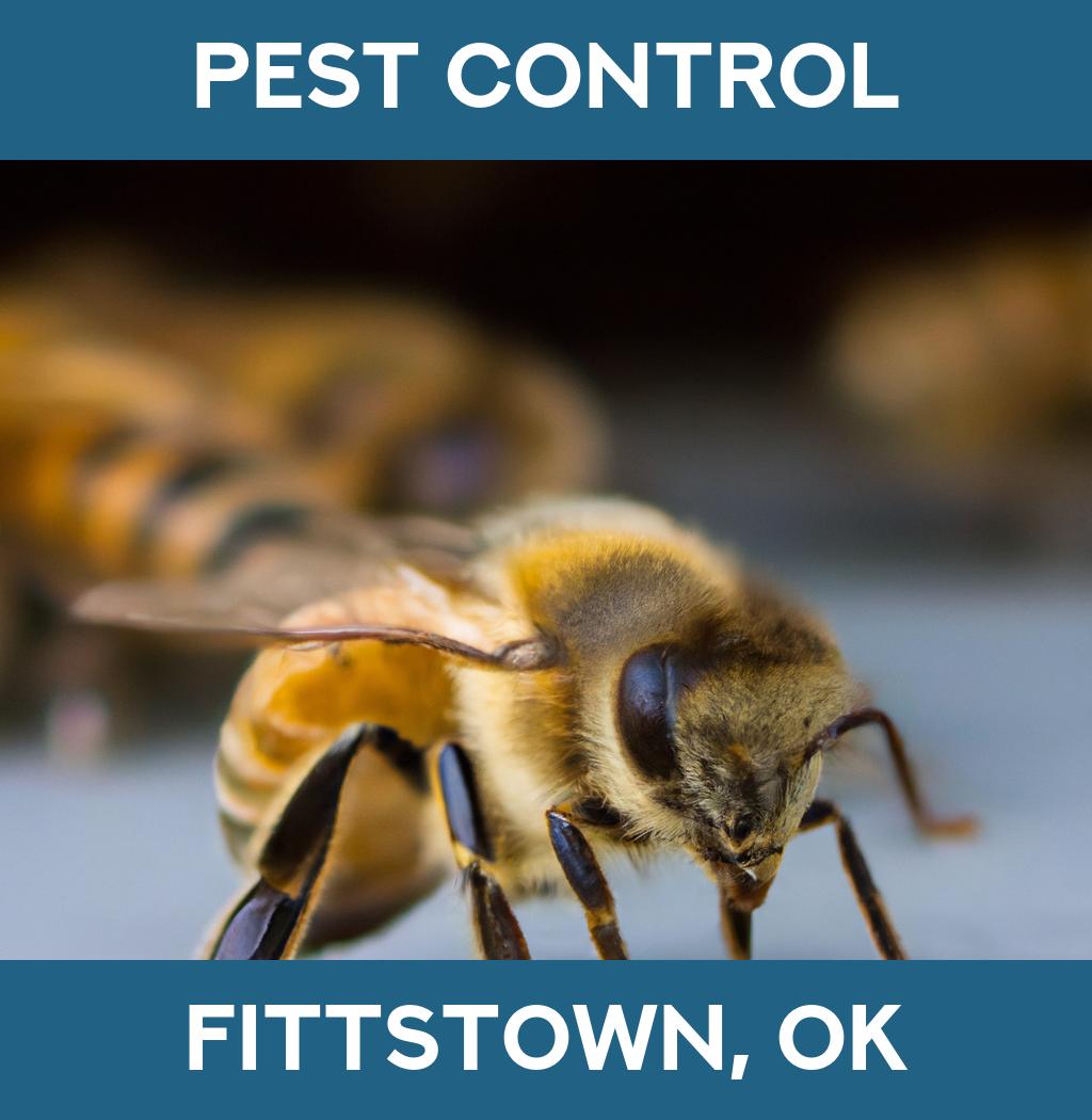 pest control in Fittstown Oklahoma