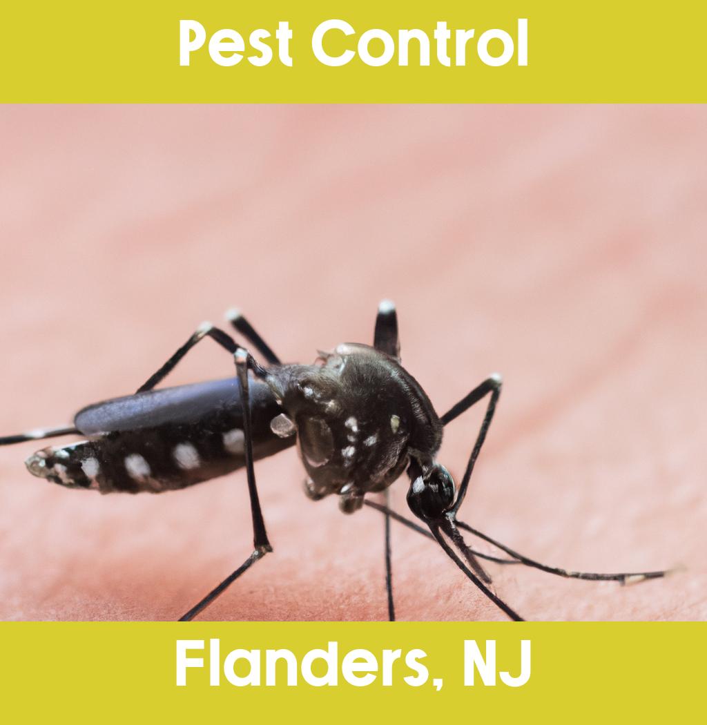 pest control in Flanders New Jersey