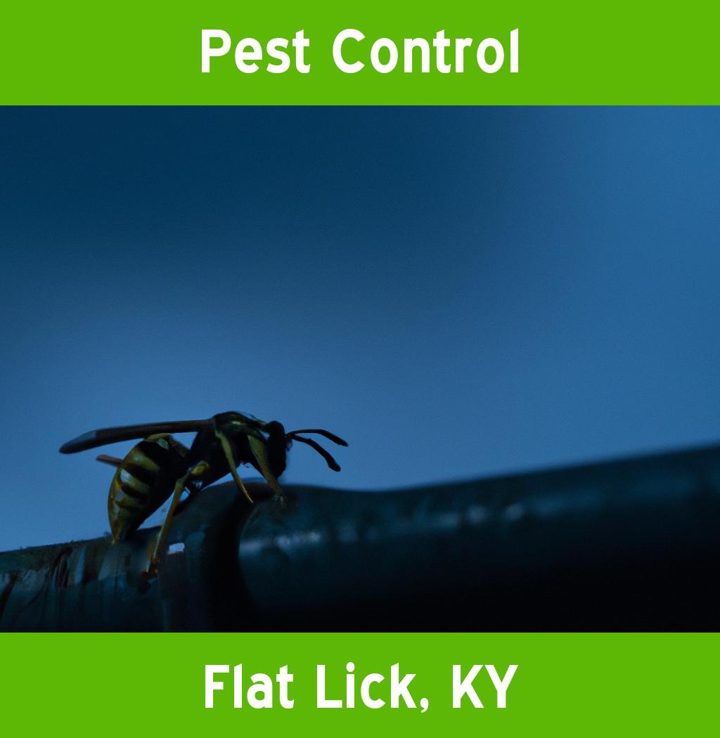 pest control in Flat Lick Kentucky
