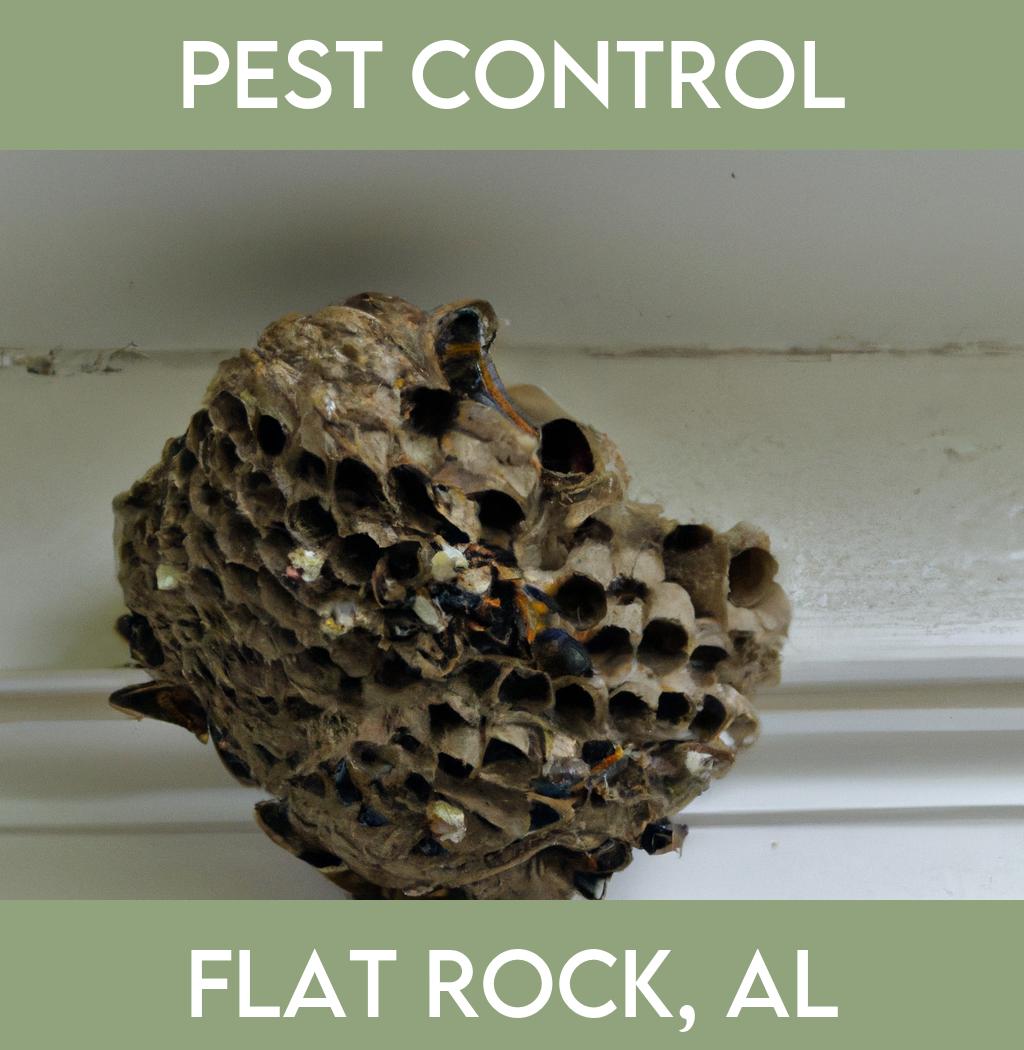 pest control in Flat Rock Alabama