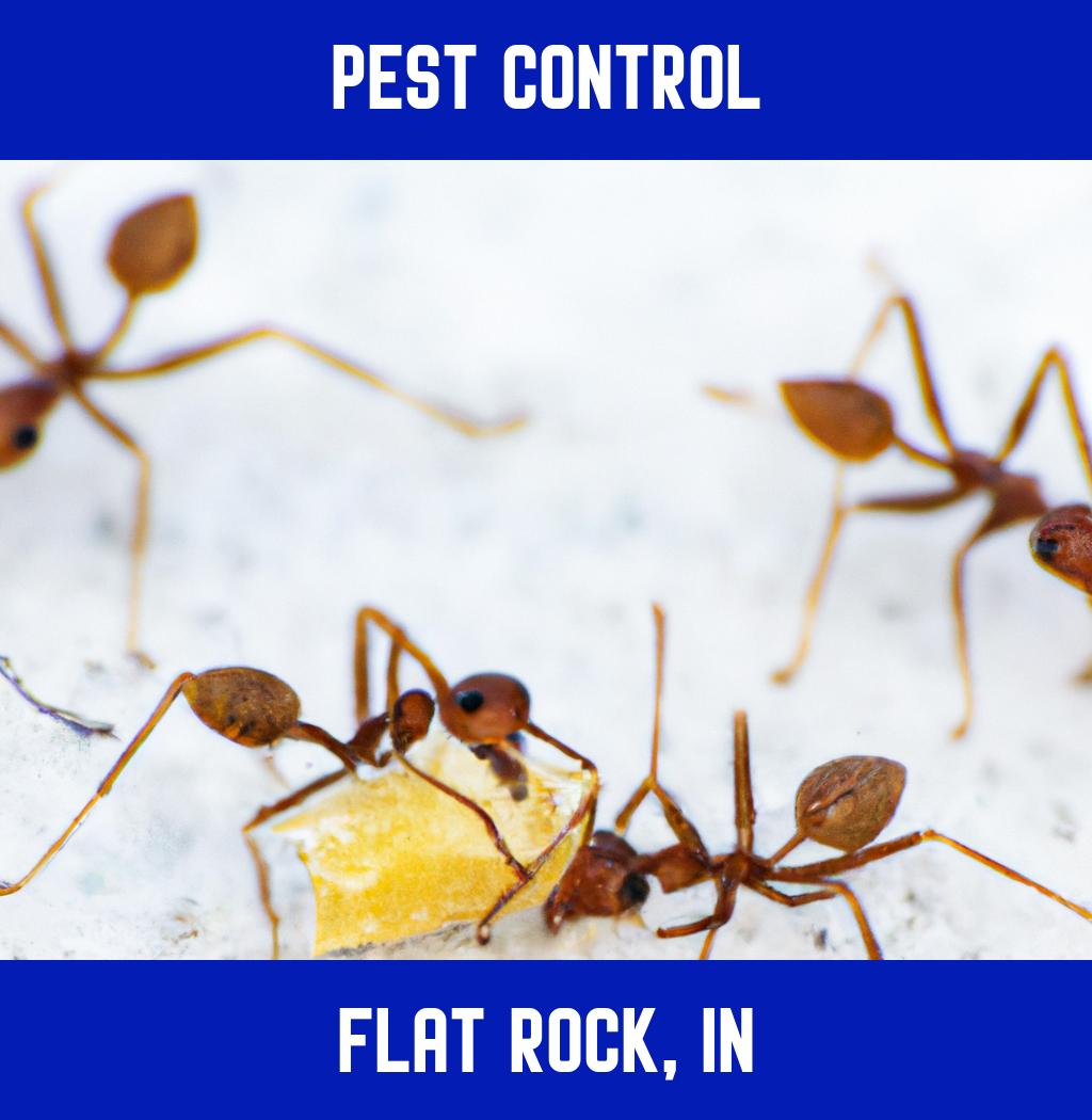 pest control in Flat Rock Indiana