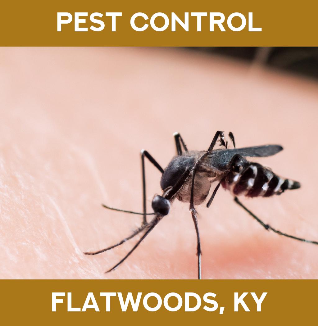 pest control in Flatwoods Kentucky