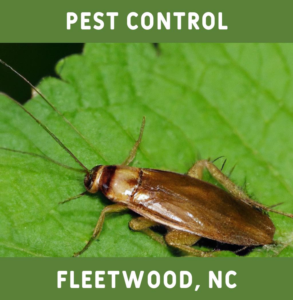 pest control in Fleetwood North Carolina