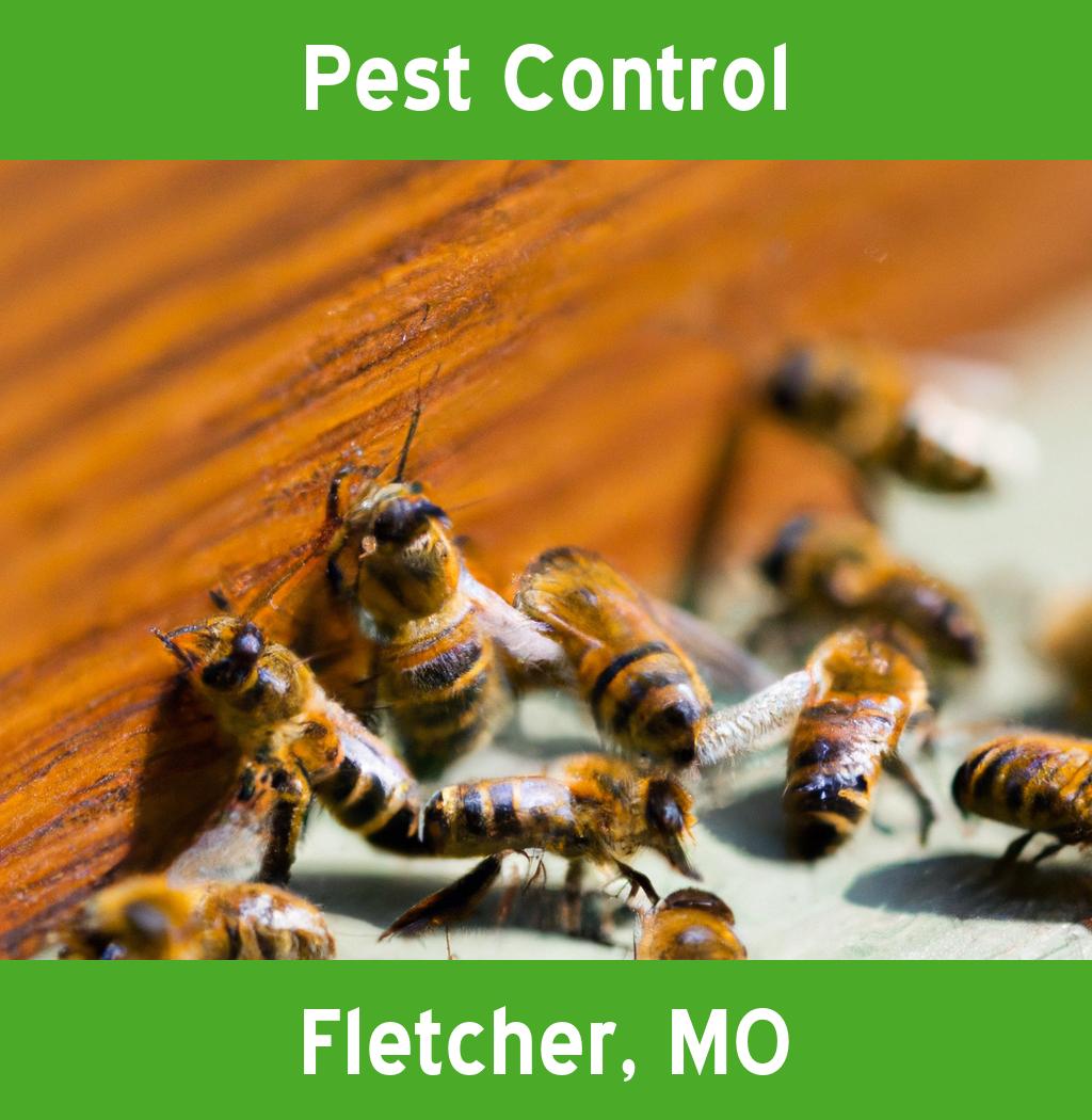 pest control in Fletcher Missouri