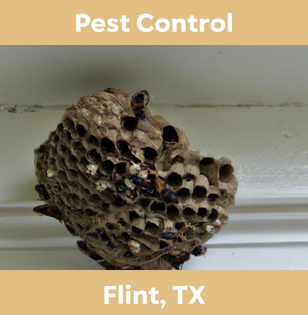 pest control in Flint Texas