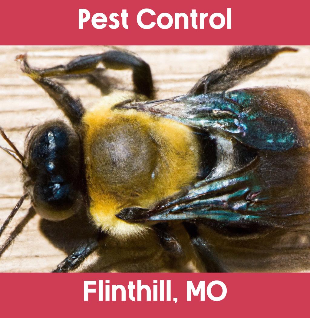 pest control in Flinthill Missouri