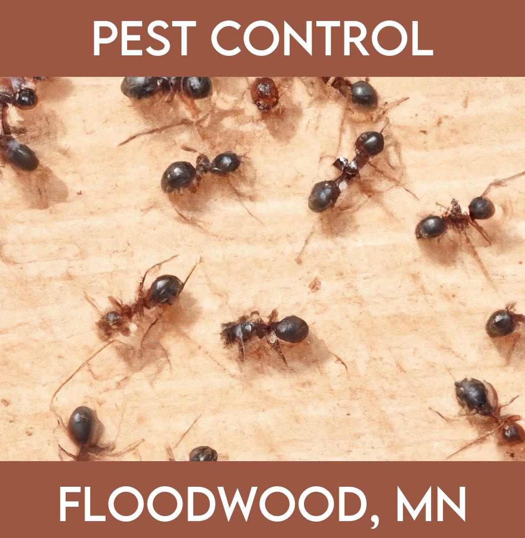 pest control in Floodwood Minnesota