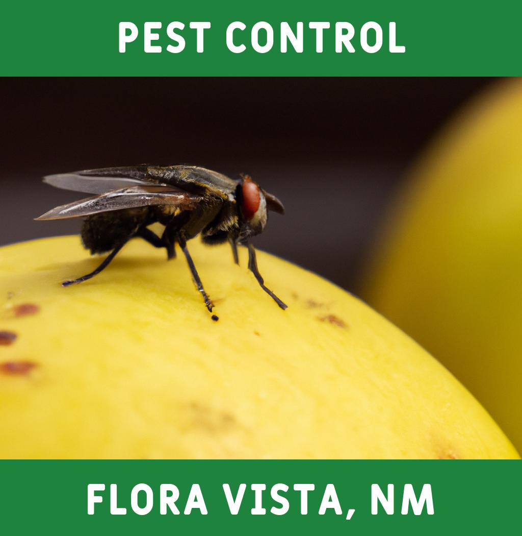 pest control in Flora Vista New Mexico