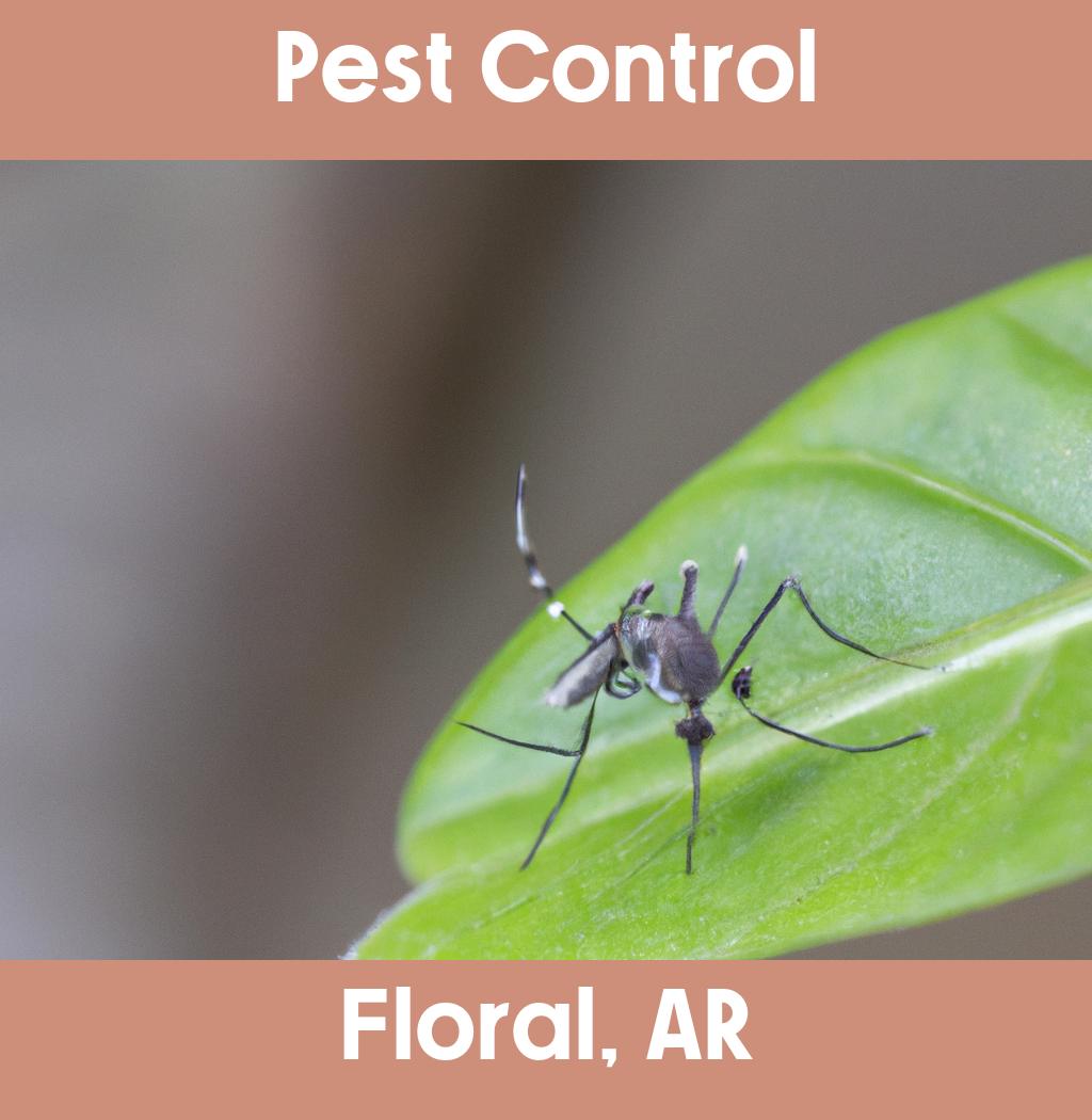 pest control in Floral Arkansas