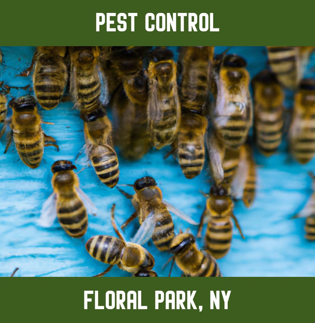 pest control in Floral Park New York