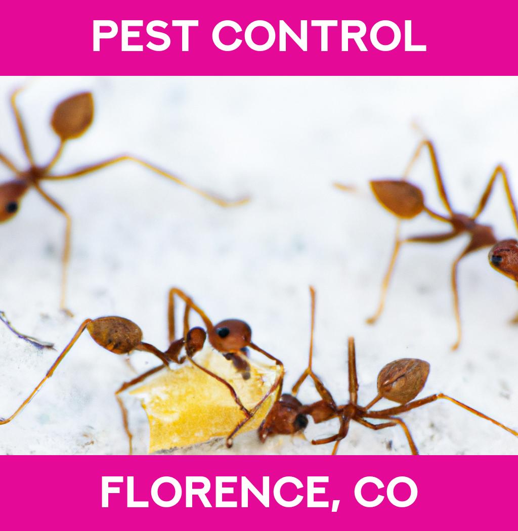 pest control in Florence Colorado