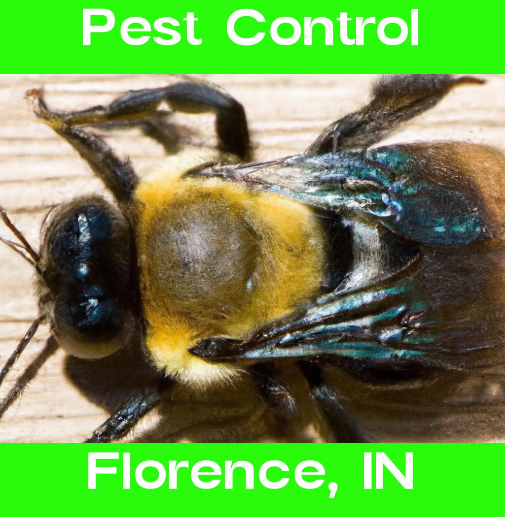 pest control in Florence Indiana