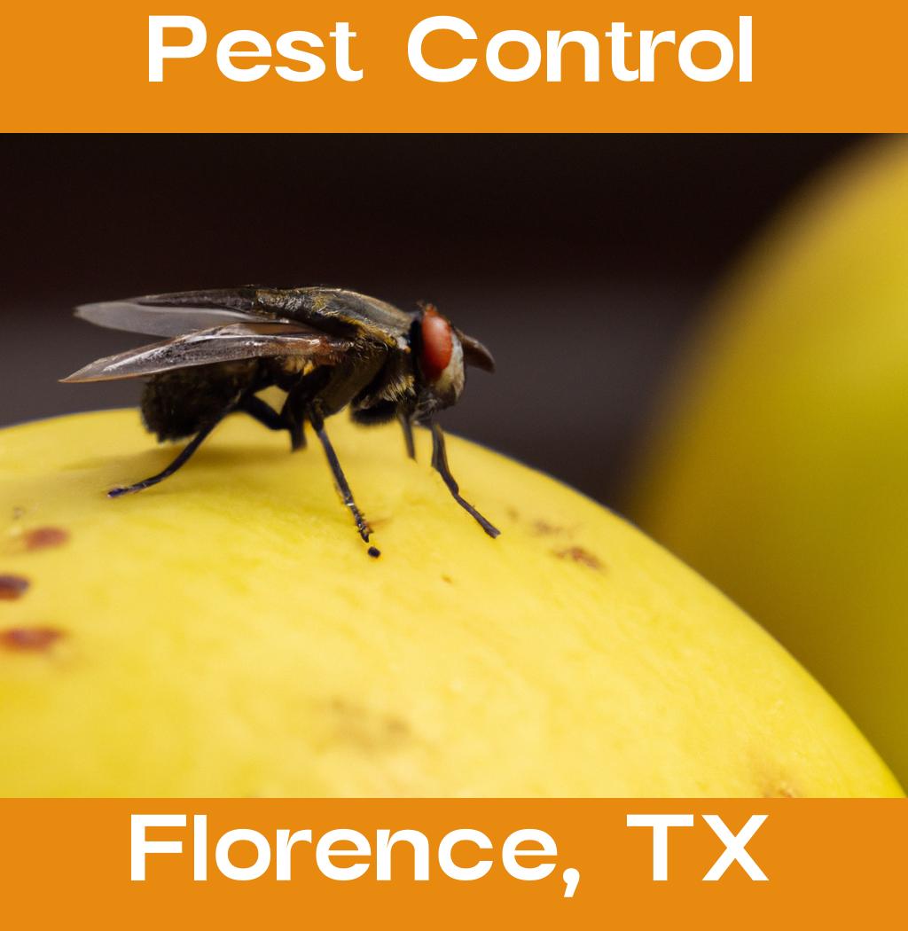 pest control in Florence Texas