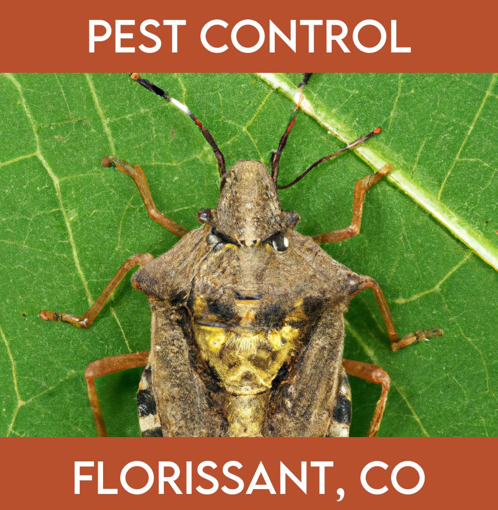 pest control in Florissant Colorado