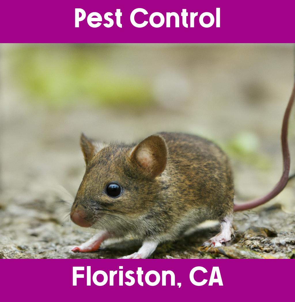 pest control in Floriston California