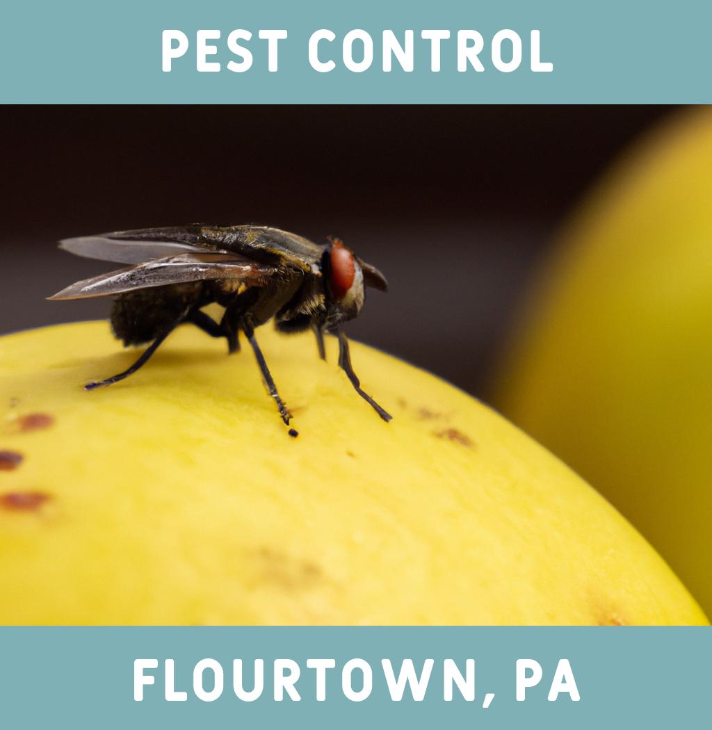 pest control in Flourtown Pennsylvania