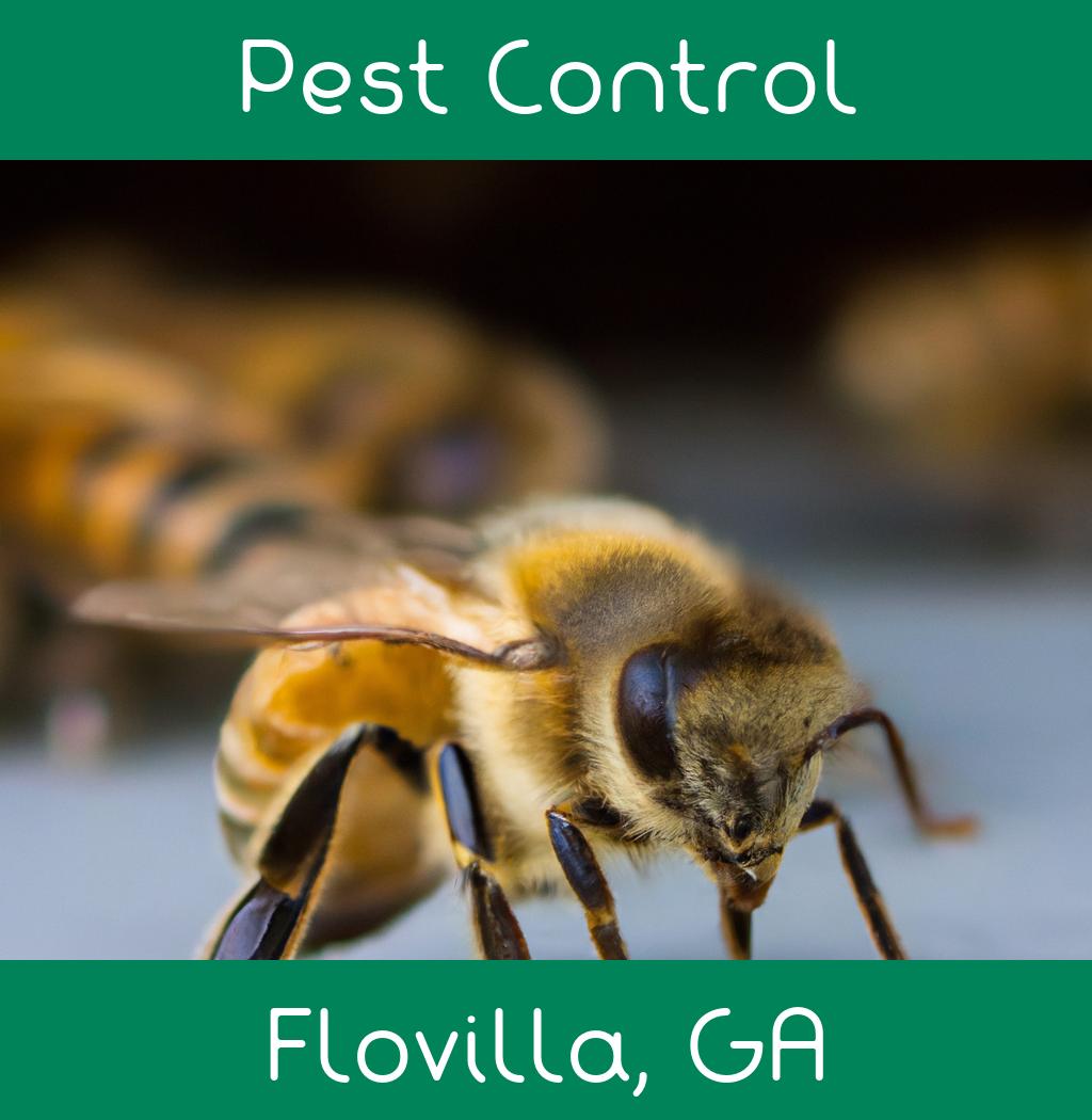 pest control in Flovilla Georgia