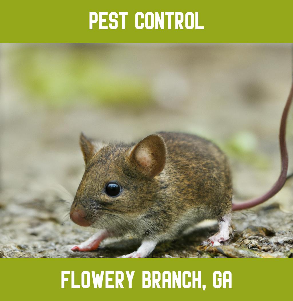 pest control in Flowery Branch Georgia