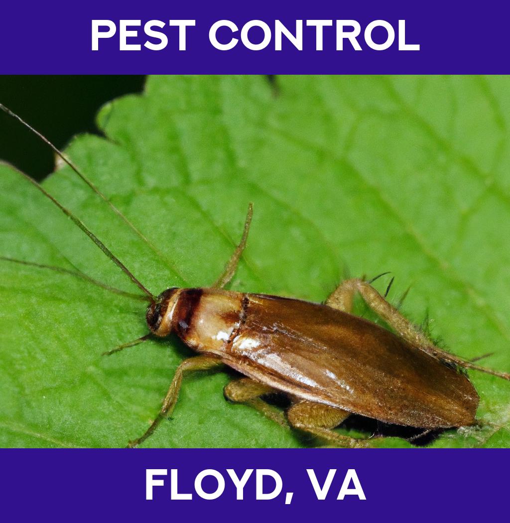 pest control in Floyd Virginia