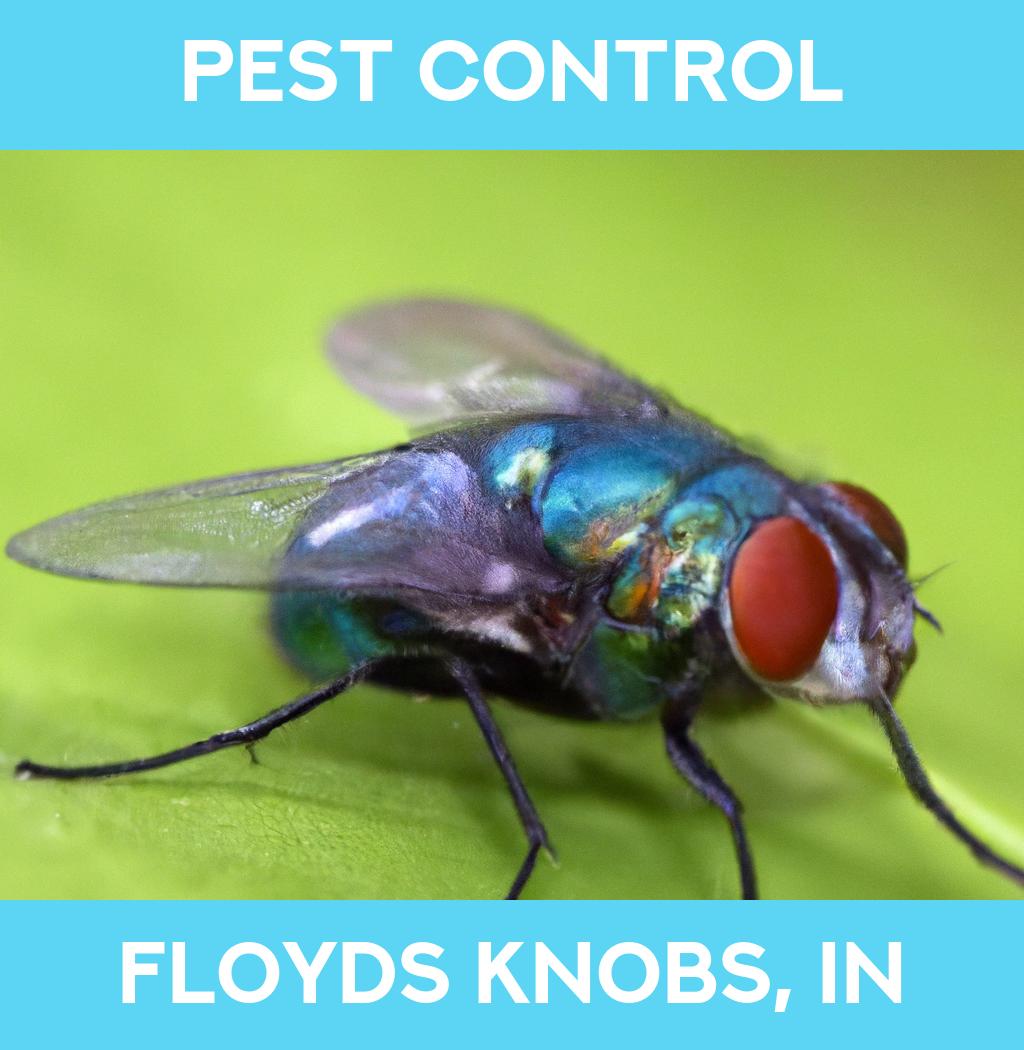 pest control in Floyds Knobs Indiana