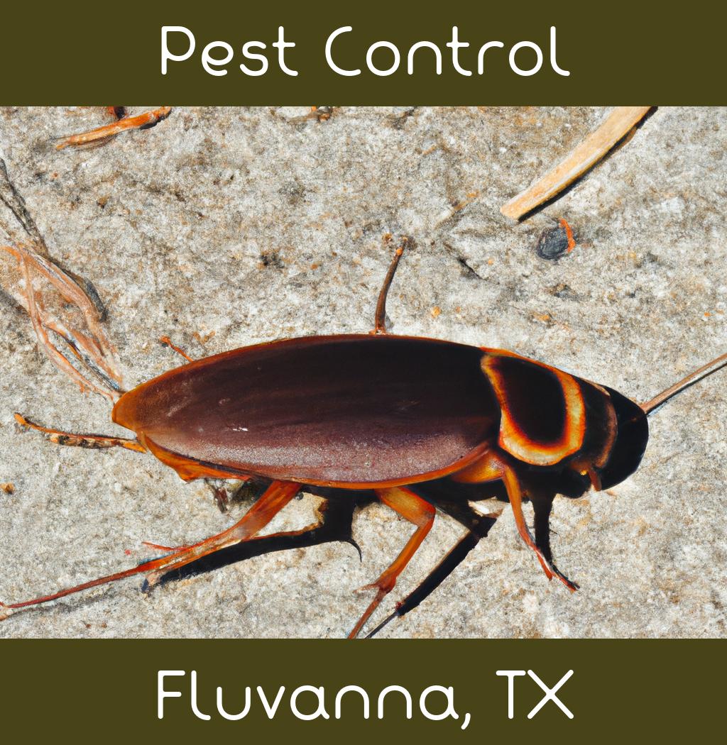 pest control in Fluvanna Texas