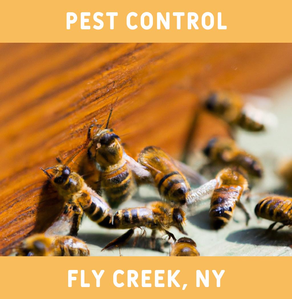 pest control in Fly Creek New York
