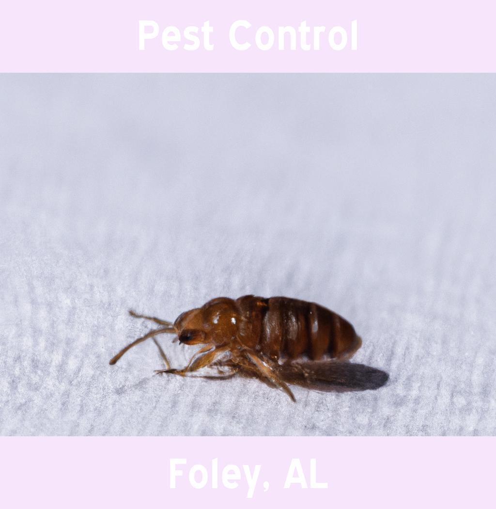 pest control in Foley Alabama