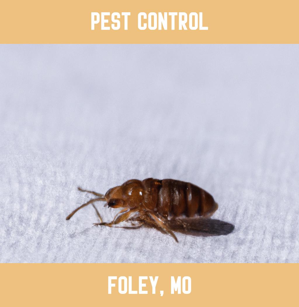 pest control in Foley Missouri