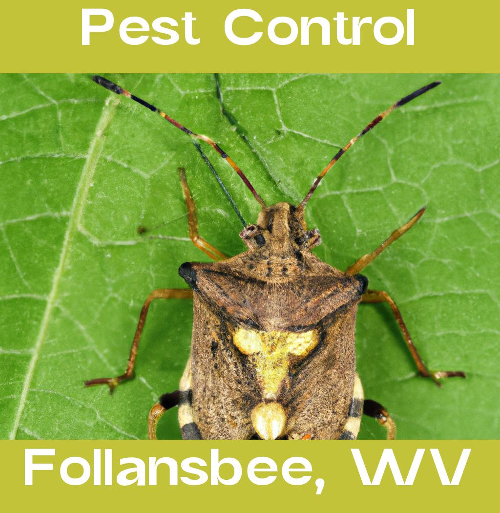 pest control in Follansbee West Virginia