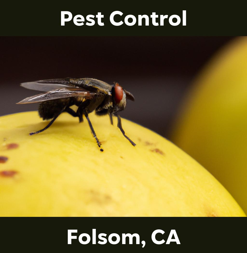 pest control in Folsom California