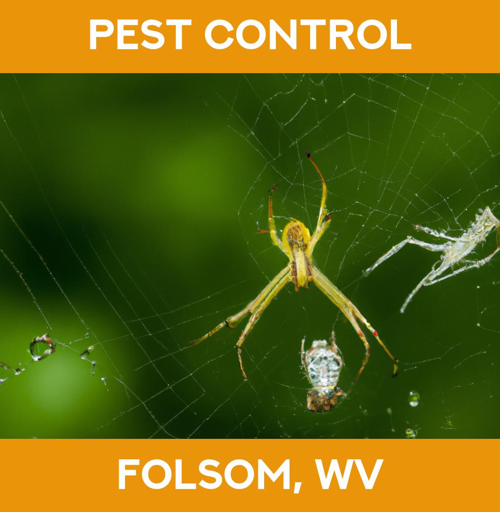 pest control in Folsom West Virginia