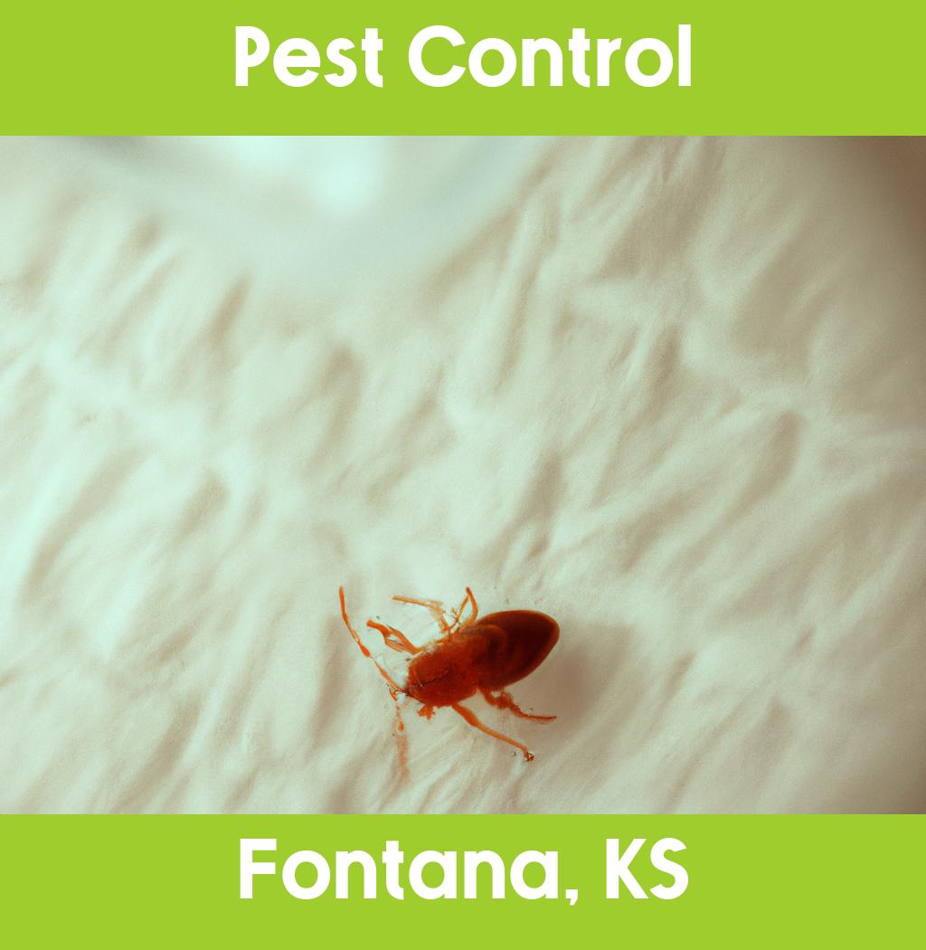 pest control in Fontana Kansas