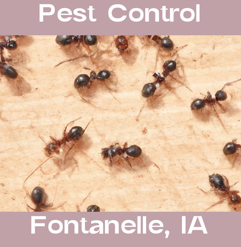 pest control in Fontanelle Iowa