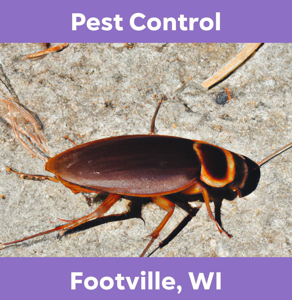 pest control in Footville Wisconsin