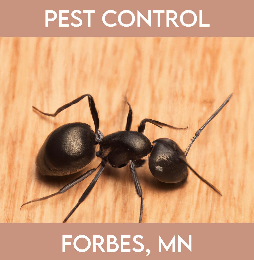 pest control in Forbes Minnesota