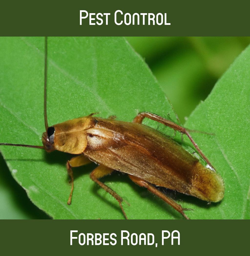 pest control in Forbes Road Pennsylvania